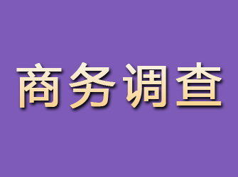 谢通门商务调查